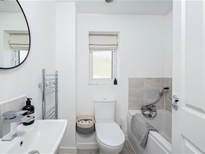 Picture 11